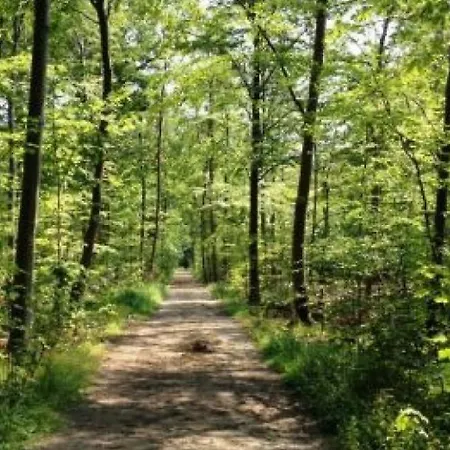 Campo de lujo Glamping Pa Amager